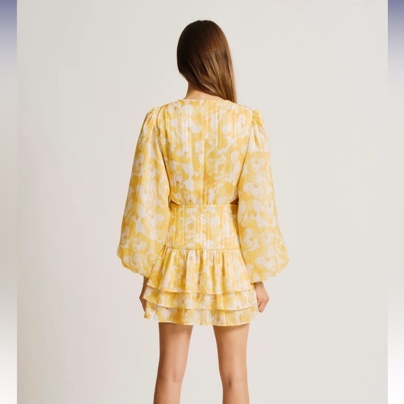 $278 Torn By Ronny Kobo Cassie Dress - Picture 6 of 8